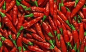 Chilli